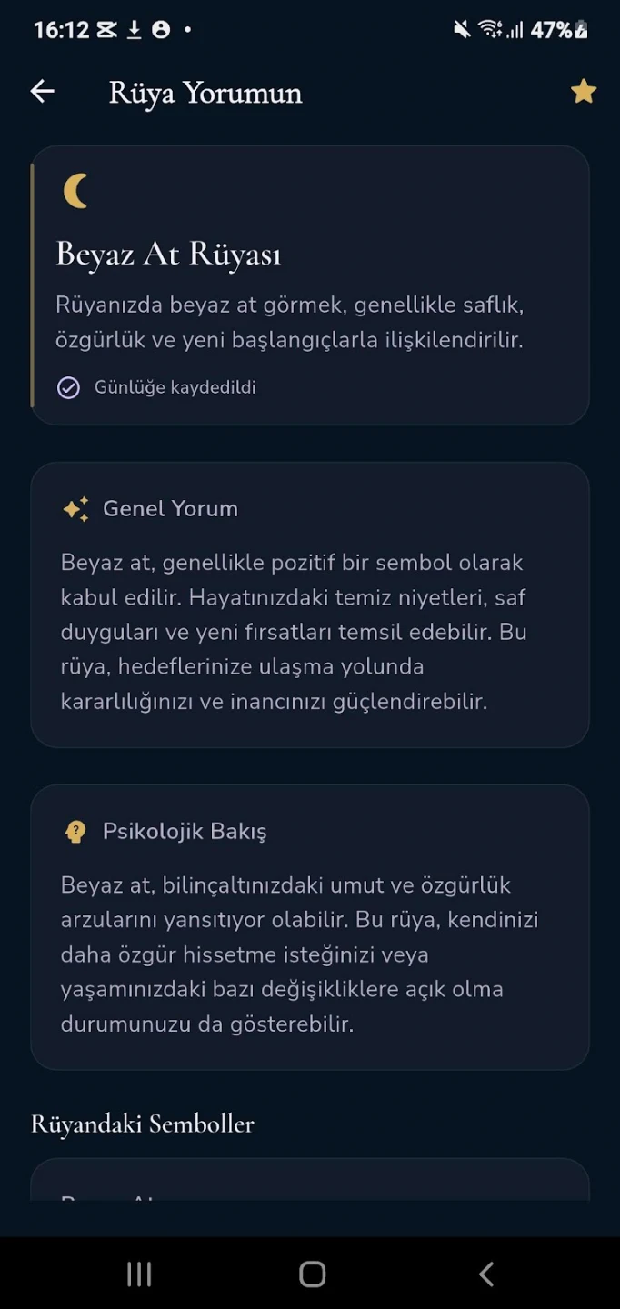 Ekran Görüntüsü 2