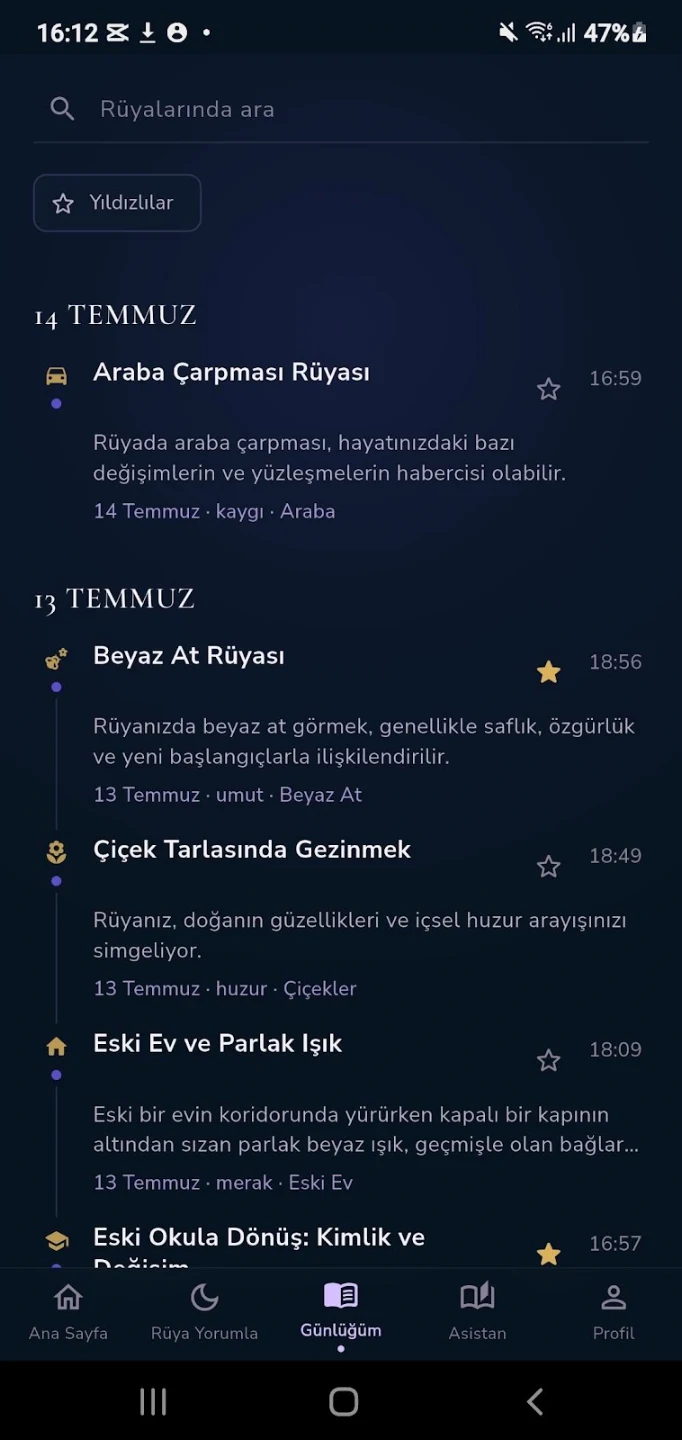 Ekran Görüntüsü 5