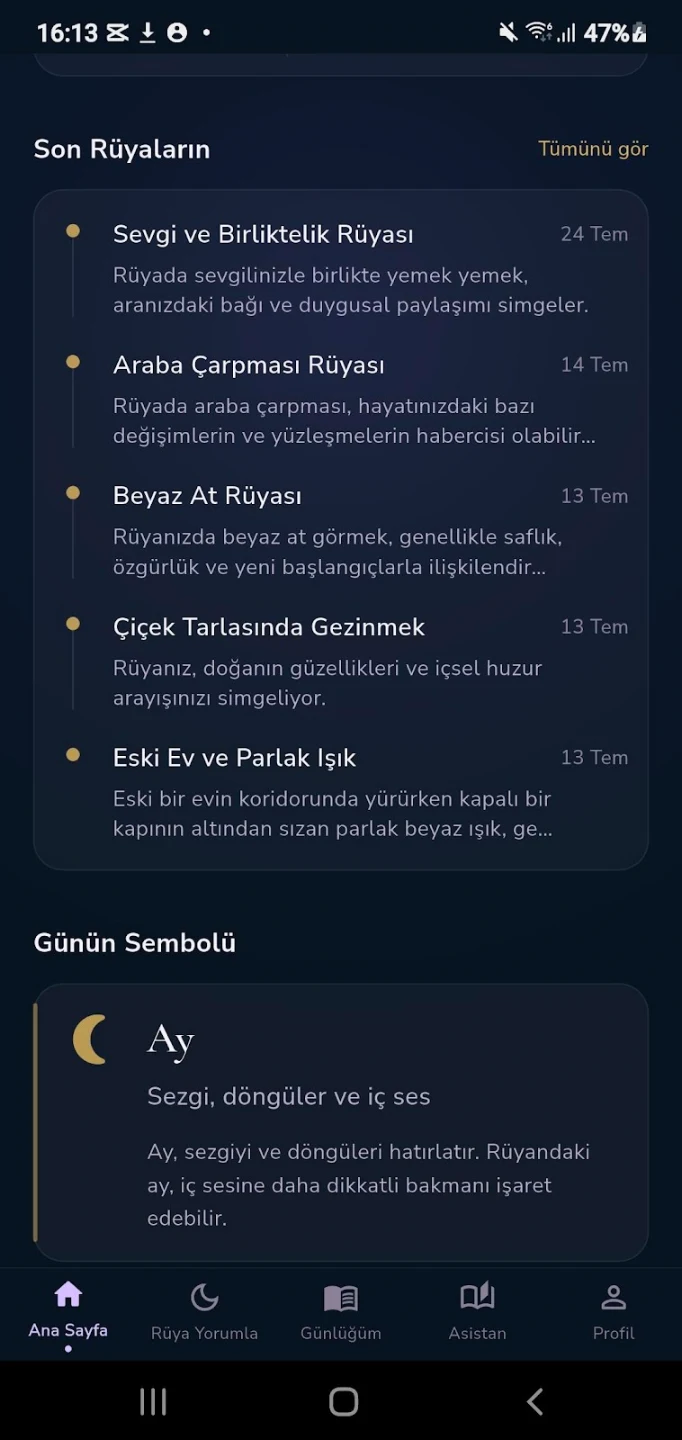 Ekran Görüntüsü 4